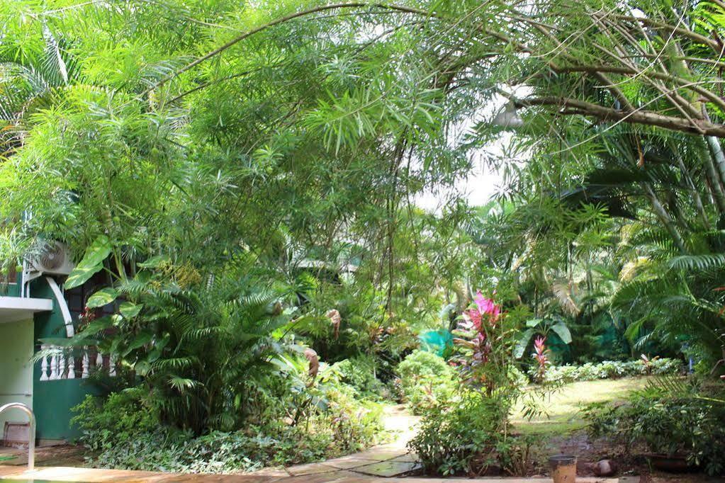 Villa Theresa Beach Resort Calangute Exterior photo